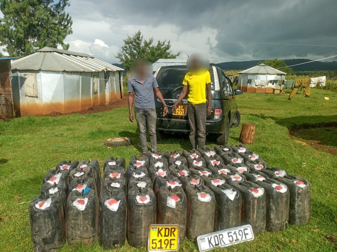 Cans of illicit brews