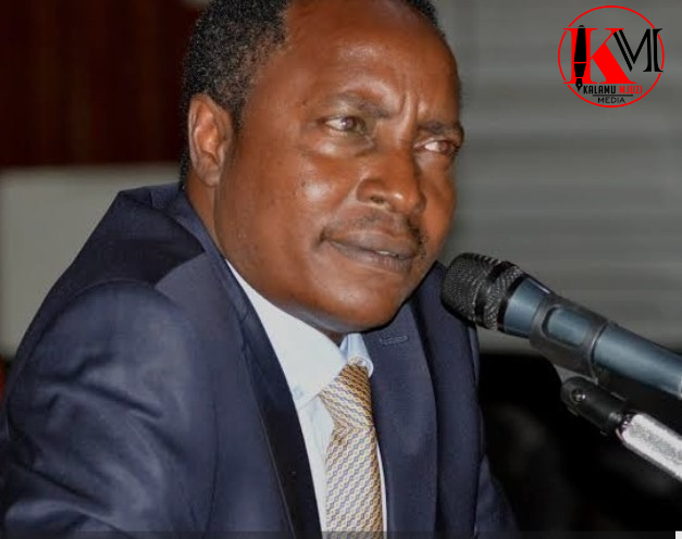 Former Nairobi ICT CEC Newton Munene